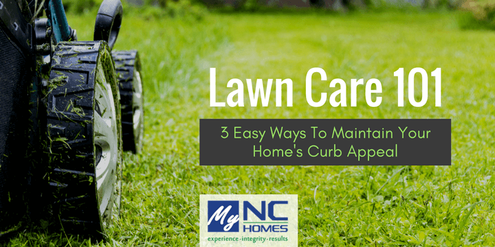 Lawn Care 101: tips to keep your yard looking fresh