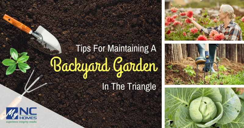 Gardening tips for your home in Durham, Cary, and Chapel Hill