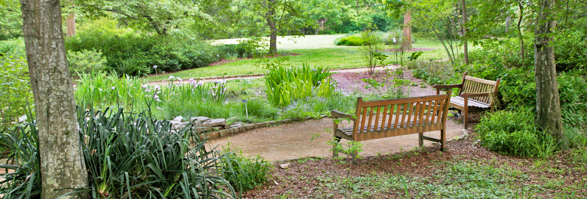 The Coker Arboretum -picture by the Chapel Hill Recorder