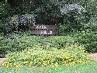 Coker Hills